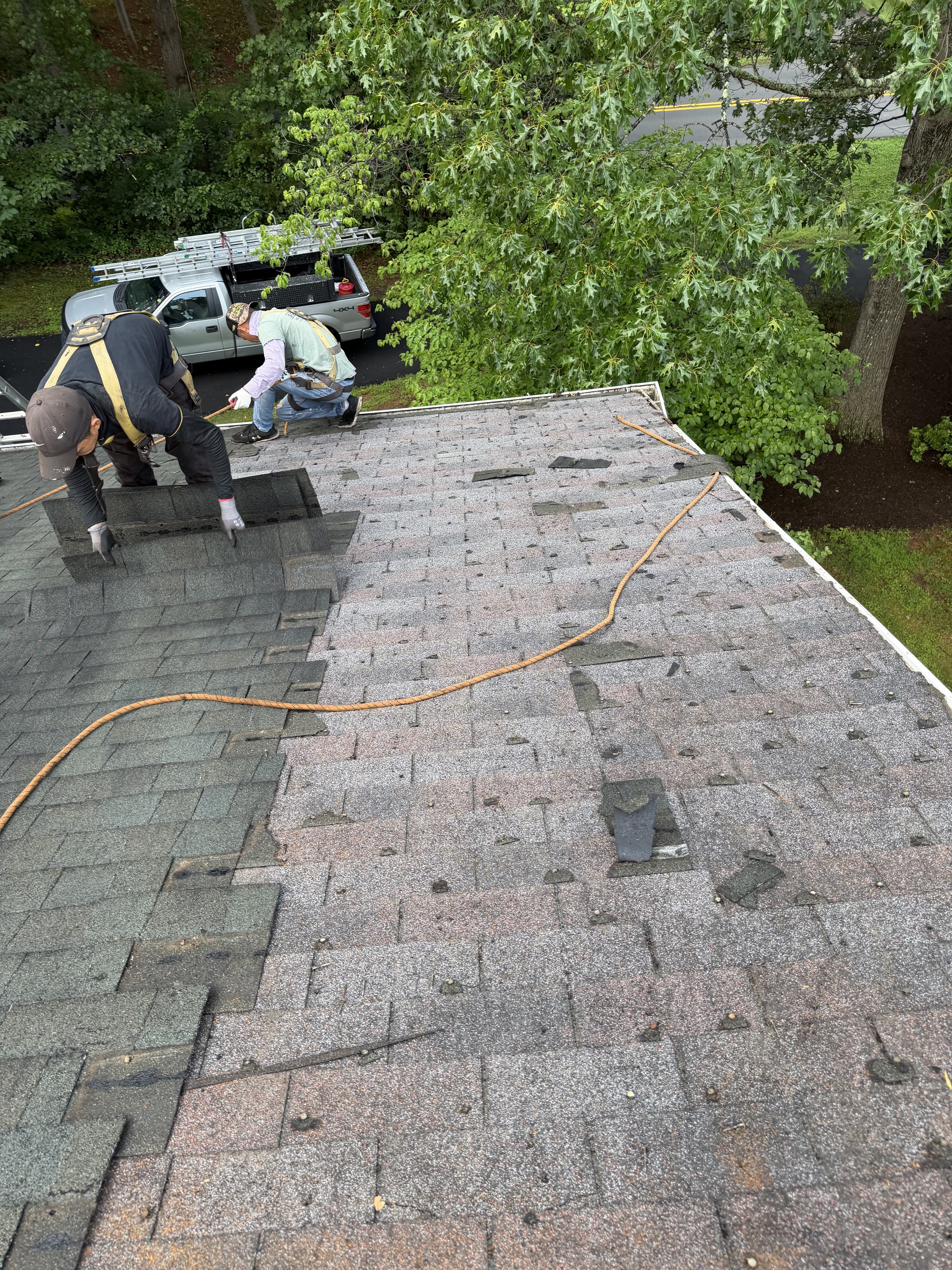 Roofers removing old shingles during tear-off, wearing safety harnesses